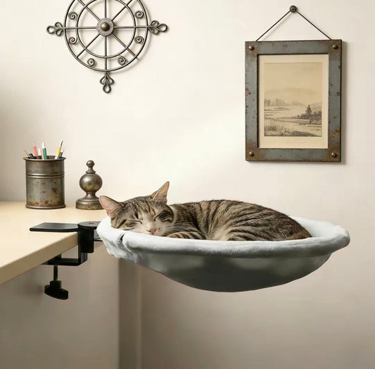 Why Remote Workers Can't Stop Buying This $47 Cat Bed