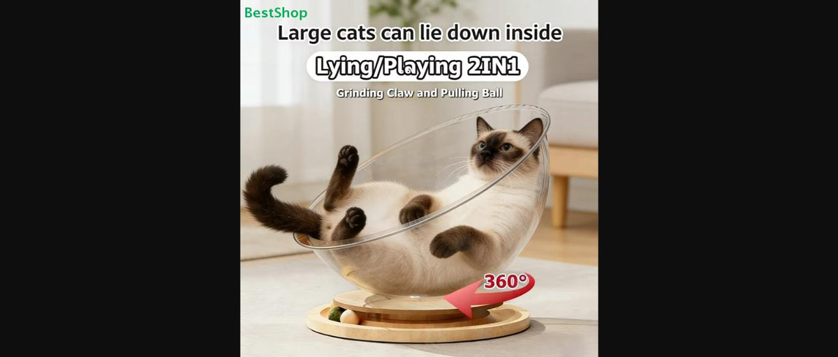 Cat playing inside the Rotating Cozy Cat Bed's 360-degree spinning dome, with a built-in scratch and play ball